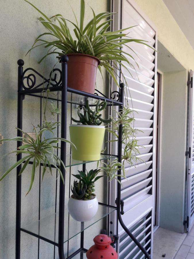 Appartement Palazzina Mary à Lucques Extérieur photo